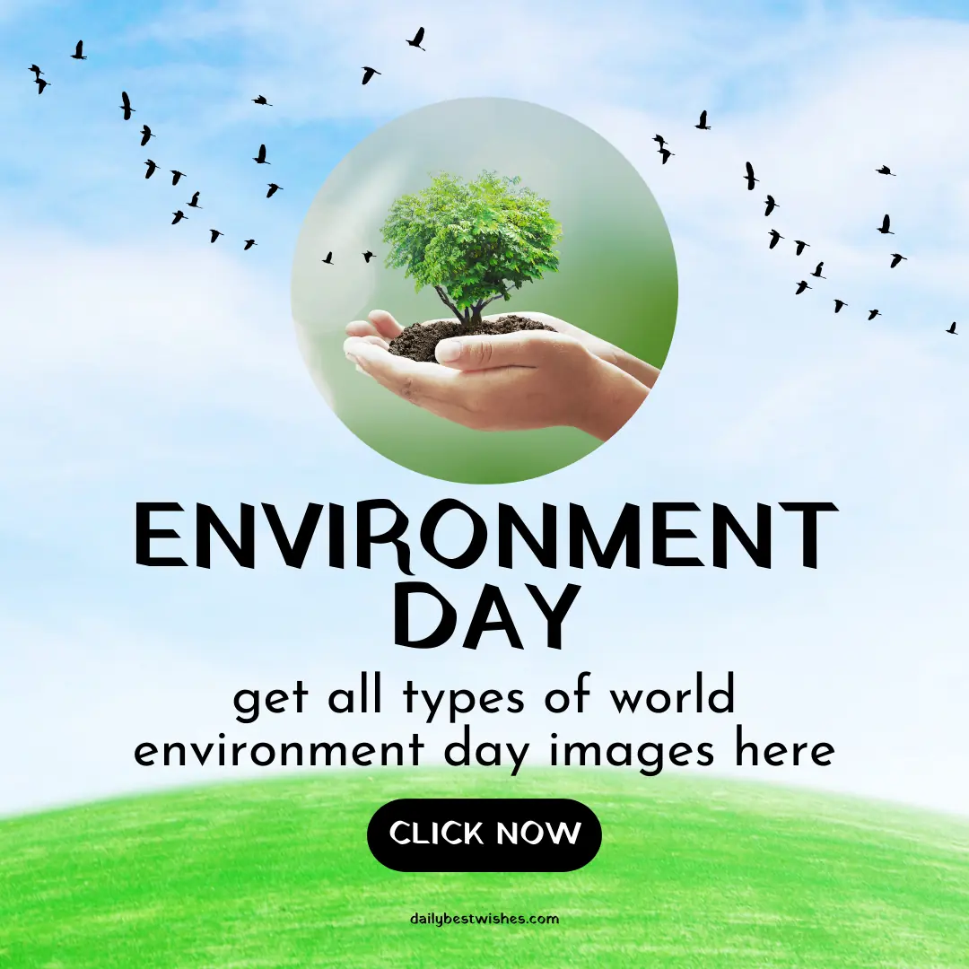 environment day