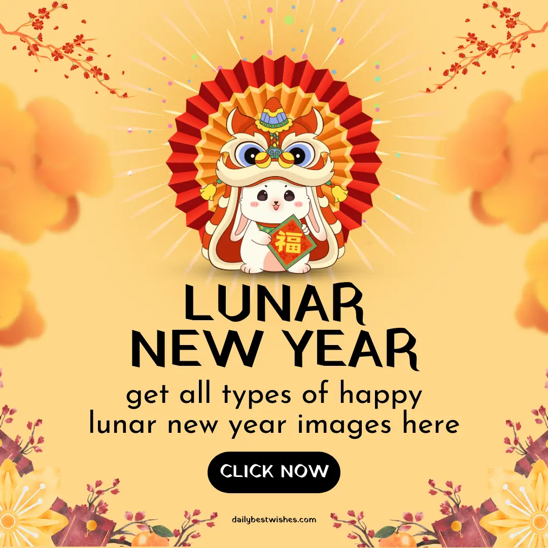 lunar new year or chinese new year