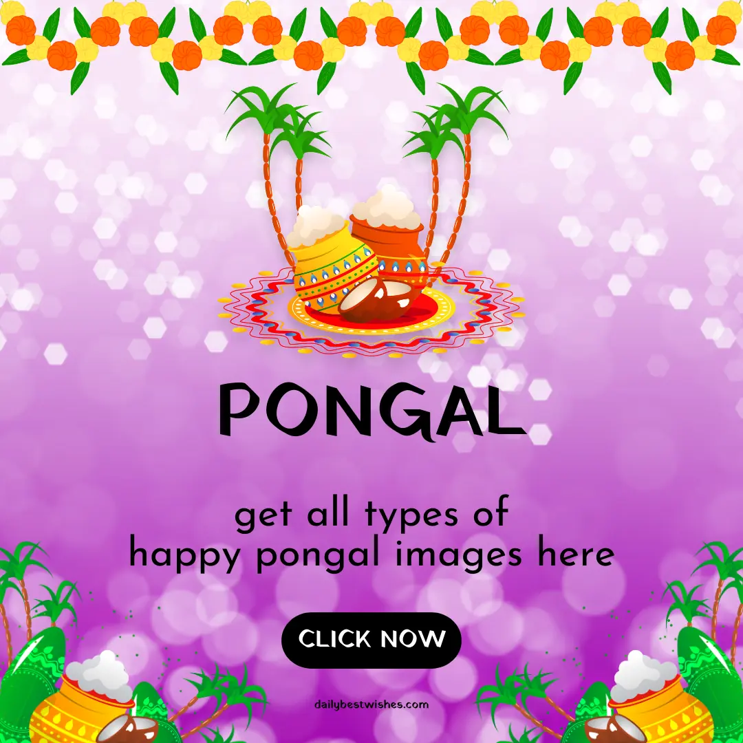 pongal festival